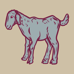 Kid goat icon. Hand drawn illustration of kid goat vector icon for web design