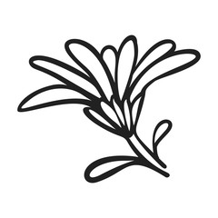 Calendula flower icon. Simple illustration of calendula flower vector icon for web design isolated on white background - obrazy, fototapety, plakaty