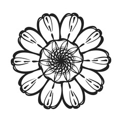 Fototapeta premium Top view calendula icon. Simple illustration of top view calendula vector icon for web design isolated on white background