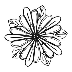 Exotic tropical flower icon. Simple illustration of exotic tropical flower vector icon for web design isolated on white background