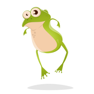 funny cartoon illustration of a frog