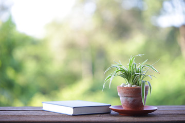 Green plant in old brown pot with notebook on wooden table