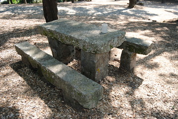 Caneca esquecida numa mesa de pedra - num parque de merendas