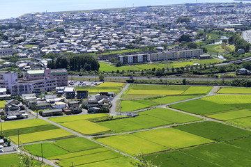 加治木の街並み