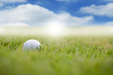 The golf ball and golf club with the warm light of the evening