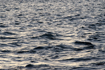 Abstract pattern of water in the harbour.