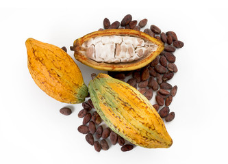 Cocoa pods with cocoa bean on a white background