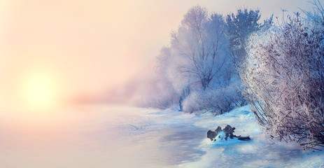 Beau fond de scène de paysage d& 39 hiver avec des arbres couverts de neige et une rivière glacée. Toile de fond d& 39 hiver ensoleillé de beauté. Pays des merveilles. Arbres givrés dans la forêt enneigée
