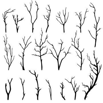 hand-drawn set of twigs