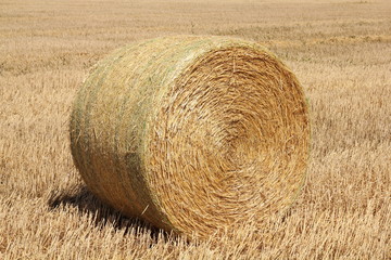 Round bale of straw on a stubble field