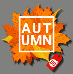 Autumn concept banner. Cartoon illustration of autumn vector concept banner for web design