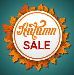 Autumn final sale concept banner. Cartoon illustration of autumn final sale vector concept banner for web design