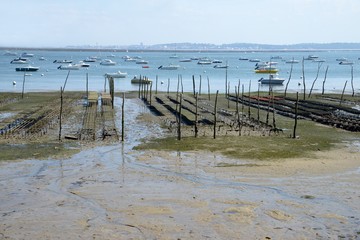 Parc ostréicole du Canon  dans le bassin d'Arcachon 