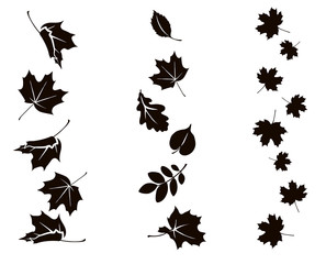 Autumn falling leaves. Vector silhouette of maple, oak, rowan and other leaves. Set of autumn decorations.