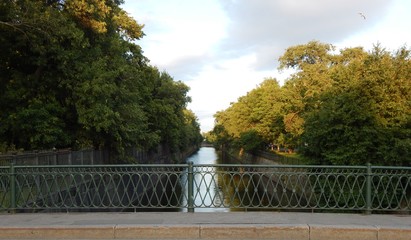 bridge in the park