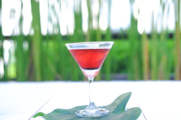 Martini cocktail