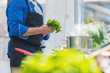 Koch in der Küche Kocht Leckeres Essen 