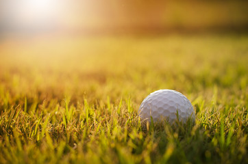 golf ball on green grass