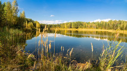 осенний пейзаж на озере с березовым лесом на берегу,...