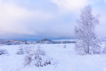 Fototapeta na wymiar Winter in sweden
