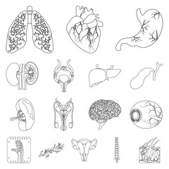 Isolated object of body and human sign. Collection of body and medical vector icon for stock.