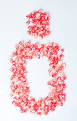 Pomegranate seeds in a shape and on white background