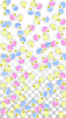 Vector Realistic Colorful Petals Falling on Transparent Background.  Spring Romantic Flowers Illustration. Flying Petals. Sakura Spa Design. Blossom Confetti. Design Elements for Wedding Decoration.