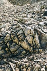The dirtiest city, with a terrible landscape and plant. The problem of ecology and mountains of industrial waste. Coal rocks