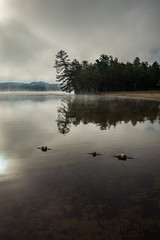 Obraz na płótnie Canvas Foggy morning view of Webb Lake from Mt. Blue State Park campground