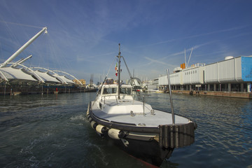 Pilotina al porto antico di Genova