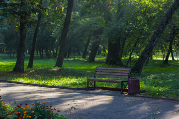 park outdoor nature environment scenery landscape from alley way road for walking and bench with sun rays in spring fresh morning weather