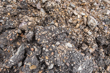 Sandy soil texture