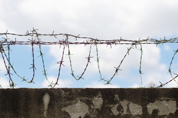 Walls, barbed wire blocking the freedom of prisoners.