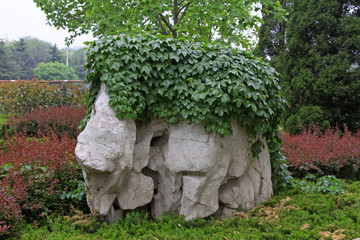 ivy and stone in a garden