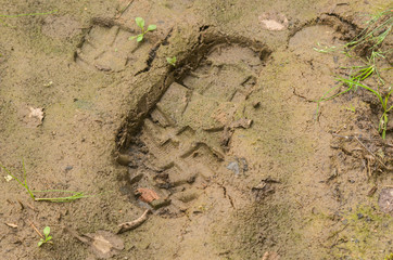 Fototapeta na wymiar Footprint of a rubber boot