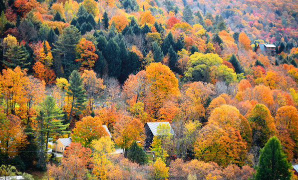 Spectacular fall foliage in Vermont mountains