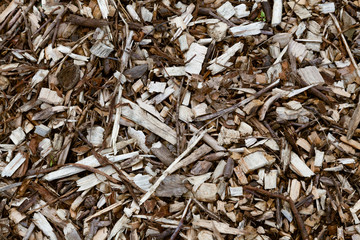 Wood chips and twigs as a background