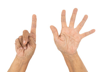 senior hand counting number 6 (six) isolate on white background
