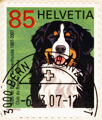 Dog image on swiss postage stamp