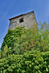 Verwunschener Turm