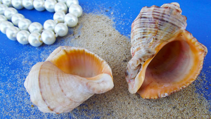 Seashells and pearl beads on blue background.