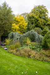 Fototapeta premium Bressingham Gardens - west of Diss in Norfolk, England - United Kingdom