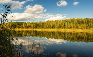 осенний пейзаж на озере с березовым лесом на берегу, Россия, Урал, сентябрь © 7ynp100