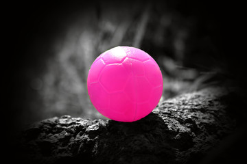 Pink boll in black & white background