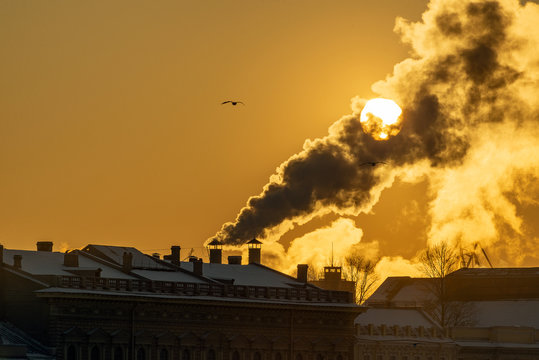 steam thick from the cold and lit by a huge low sun rising above the historic center of St. Petersburg. Silhouettes of flying seagulls and cranes. Bare trees without leaves. Place for the inscription.