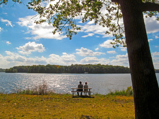 A couple is sitting on a bench by the lake in a park. Autumn landscape with a tree, pond water surface and two people on the shore. 