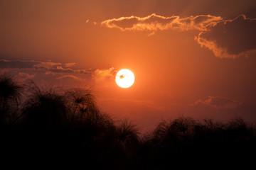 Sunset over the Okavango Delta in Botswana