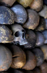 Wall of Skulls