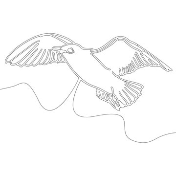 Continuous line drawing bird design style vector