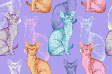 Seamless pattern. Multicolored cats. Modern style.